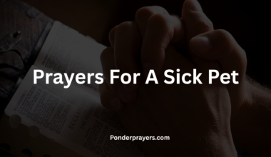 Prayers For A Sick Pet