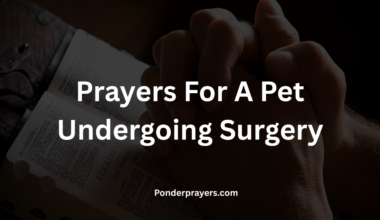 Prayers For A Pet Undergoing Surgery