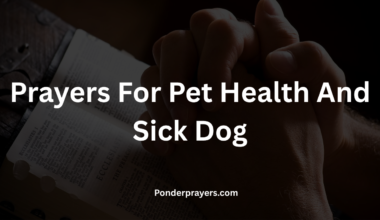 Prayers For Pet Health And Sick Dog